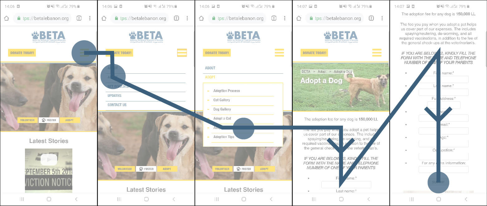 User flow analysis for the current BETA website